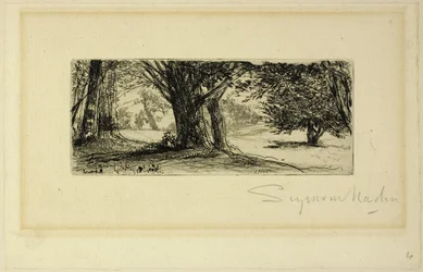 Les champs de houx