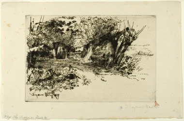 Les Saules