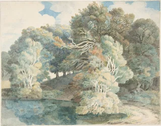 Arbres près du lac, Peamore Park, près d