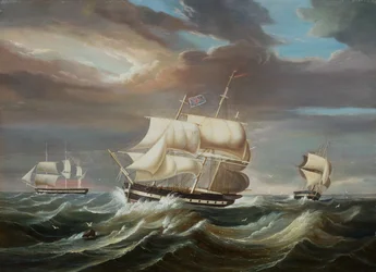 Frégates de Blackwall dans une brise forte