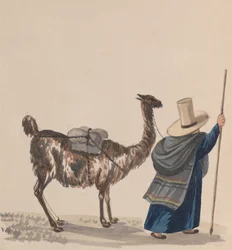 Une femme marchant avec un lama, d