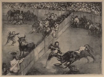 Corrida dans une arène divisée