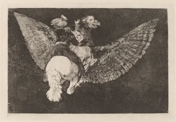 Disparate volante (Folie volante)