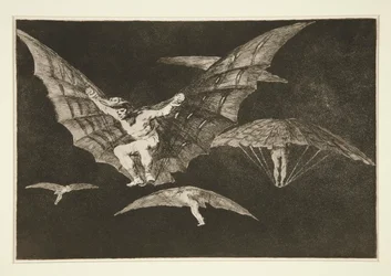Modo de volar (Une manière de voler), pl. 13 de la série Los proverbios