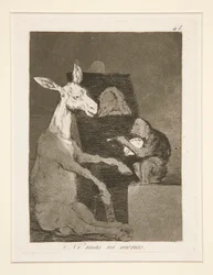 Ni mas ni menos, pl. 41 de la série Los caprichos