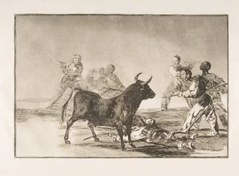 Planche 12 de la Tauromachie : La foule coupe les jarrets du taureau avec des lances, des faucilles, des bande..., 1816