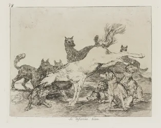 Il se défend bien., pl. 78 de la série Los desastres de la guerra (Les Désastres de la guerre)