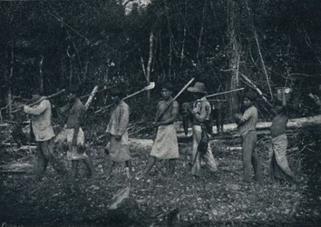 Indios Guaranys, voltando de uma caçada, 1895
