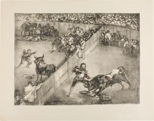 Corrida dans une arène divisée, des Taureaux de Bordeaux