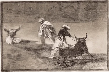 Tauromachie : les Maures jouent de la cape avec un autre taureau dans un enclos
