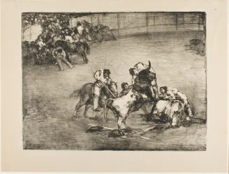 Picador attrapé par un taureau, des Taureaux de Bordeaux