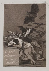 Le sommeil de la raison produit des monstres (El sueño de la razón produce monstruos)