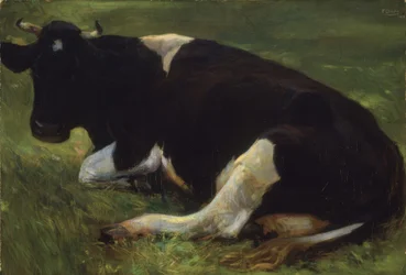Vache