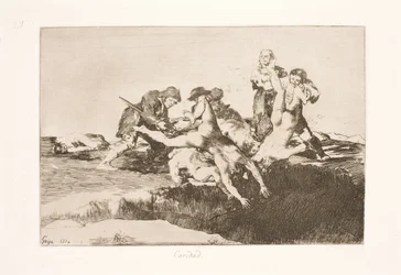Miséricorde (27)