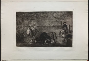 Corridas : Le chien lâché sur le taureau, 1876