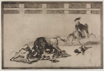 Corridas : Ils lâchent les chiens sur le taureau, 1876