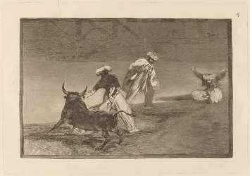 Capea un Autre Enclos (Ils Jouent un Autre avec la Cape dans un Enclos)