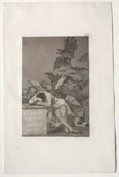 Caprichos : Le sommeil de la raison engendre des monstres