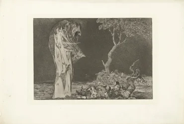 Folie de la peur (Los Disparates)