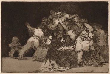 Folie générale, de la série Los Disparates