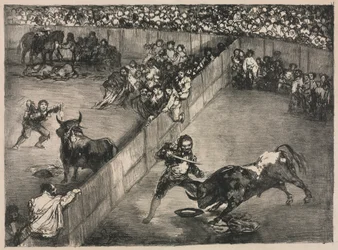 Les Taureaux de Bordeaux : Corrida dans un anneau divisé, 1825