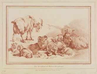 troupeau de moutons