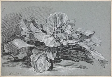 Étude d