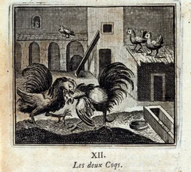 Les Deux Coqs. Fables de Jean de La Fontaine (1621-95). Illustration de François Chauveau (1613-1676). Édition de 1728.