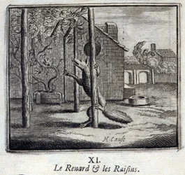 Illustration des 