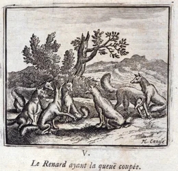 Illustration des 