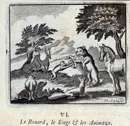 Illustration des 