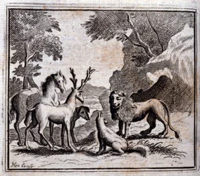 Illustration des 