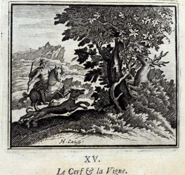 Le cerf et la vigne
