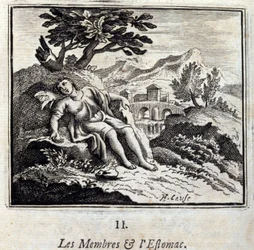 Les membres et l