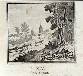 Les lapins