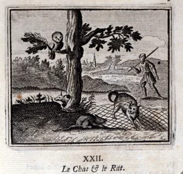 Le Chat et le Rat