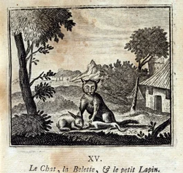 Le chat, la belette et le petit lapin