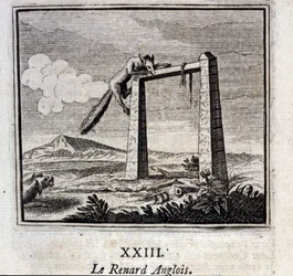Le Renard anglais. Fables de Jean de La Fontaine (1621-95). Illustration de François Chauveau (1613-1676). Édition de 1728.