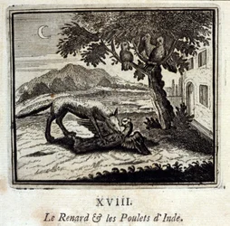 Le renard et les poules d