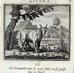La grenouille qui veut se faire aussi grosse que le bœuf