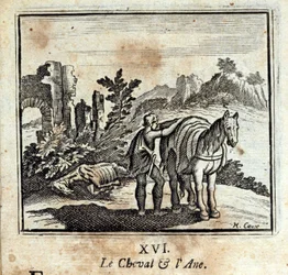 Le cheval et l