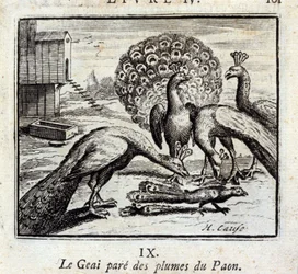 Le geai se pare de plumes de paon. Fables de Jean de La Fontaine (1621-95). Illustration de François Chauveau (1613-1676). Édition de 1728.