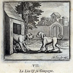 La Puce et sa Compagne