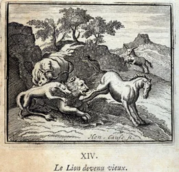 Le lion devenu vieux. Fables de Jean de La Fontaine (1621-95). Illustration de François Chauveau (1613-1676). Édition de 1728.