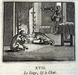 Le Singe et le Chat