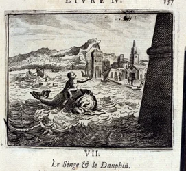 Le Singe et le Dauphin