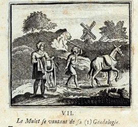 Le Mulet se vantant de sa généalogie. Fables de Jean de La Fontaine (1621-95). Illustration de François Chauveau (1613-1676). Édition de 1728.