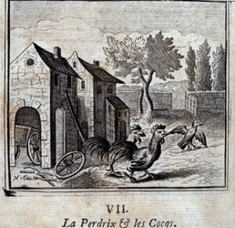 La Perdrix et les Coqs. Fables de Jean de La Fontaine (1621-95). Illustration de François Chauveau (1613-1676). Édition de 1728.