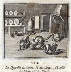 La querelle des chiens et des chats, et celle des chats et des souris