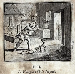 Le villageois et le serpent